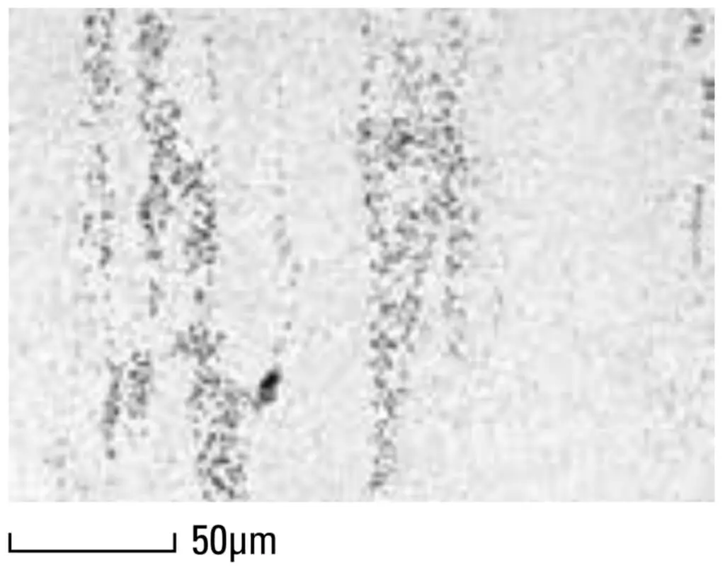 Microstruttura - DRM3